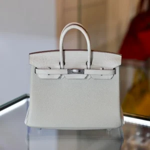 Birkin 25 Touch Togo Matte Crocodile